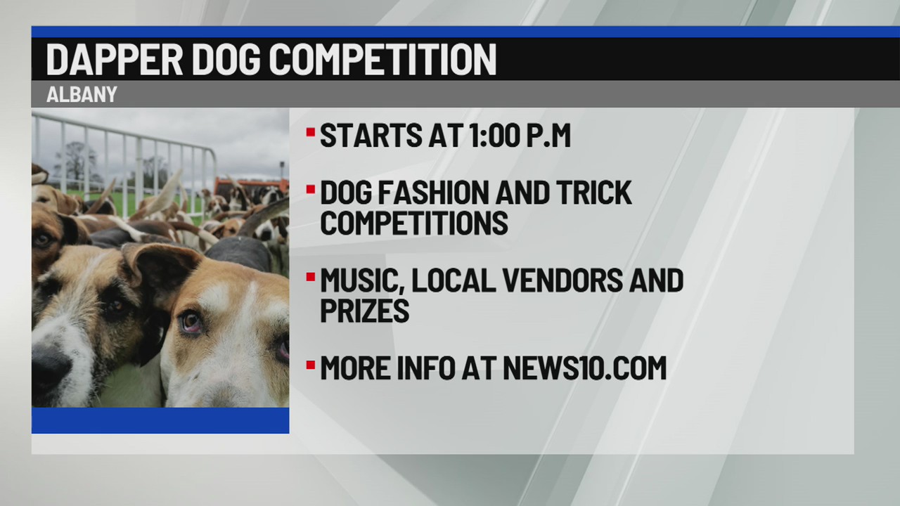 Dapper Dog Competition to be hosted in Albany – NEWS10 ABC