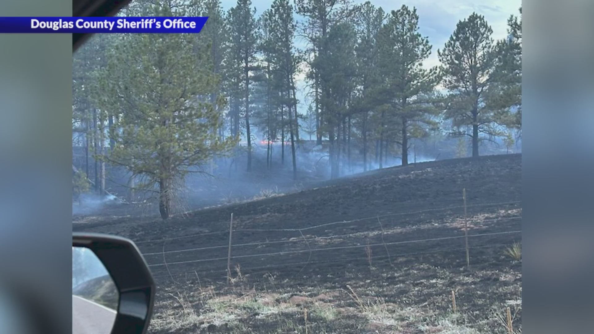 150-acre forest fire burning in Douglas County – FOX31 Denver