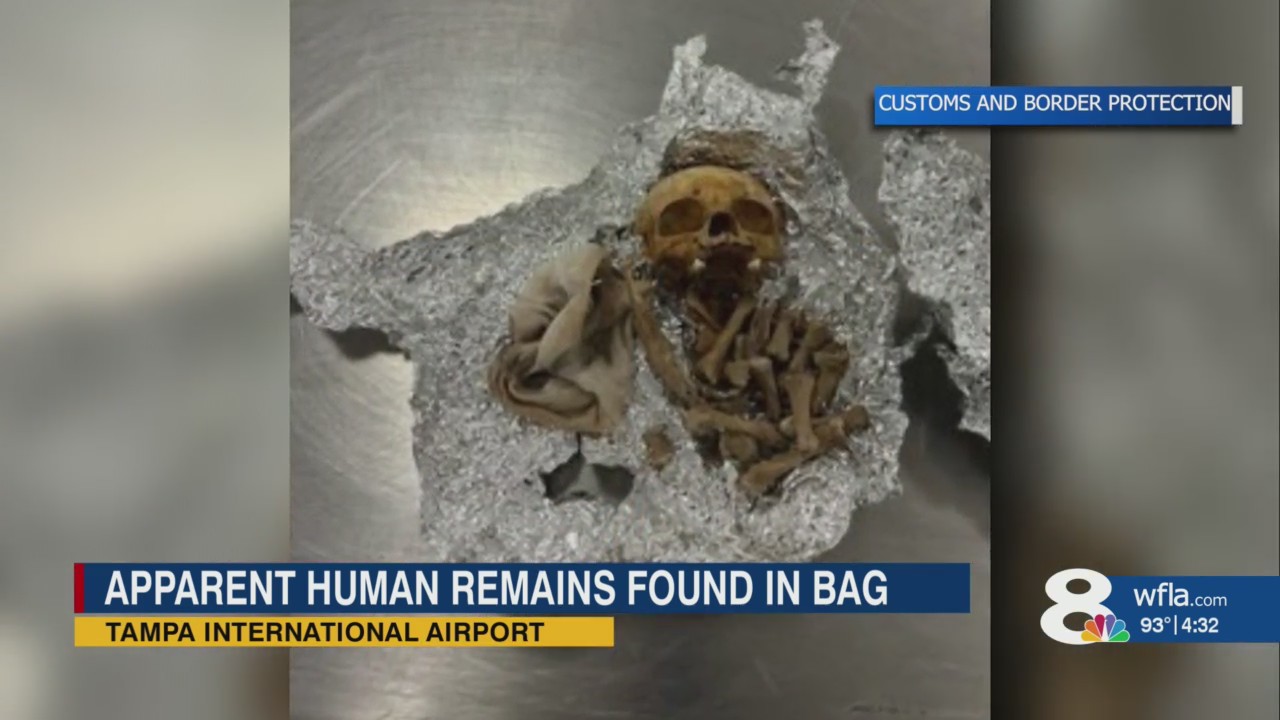 Apparent human remains found in luggage at Tampa airport, CBP says – WFLA