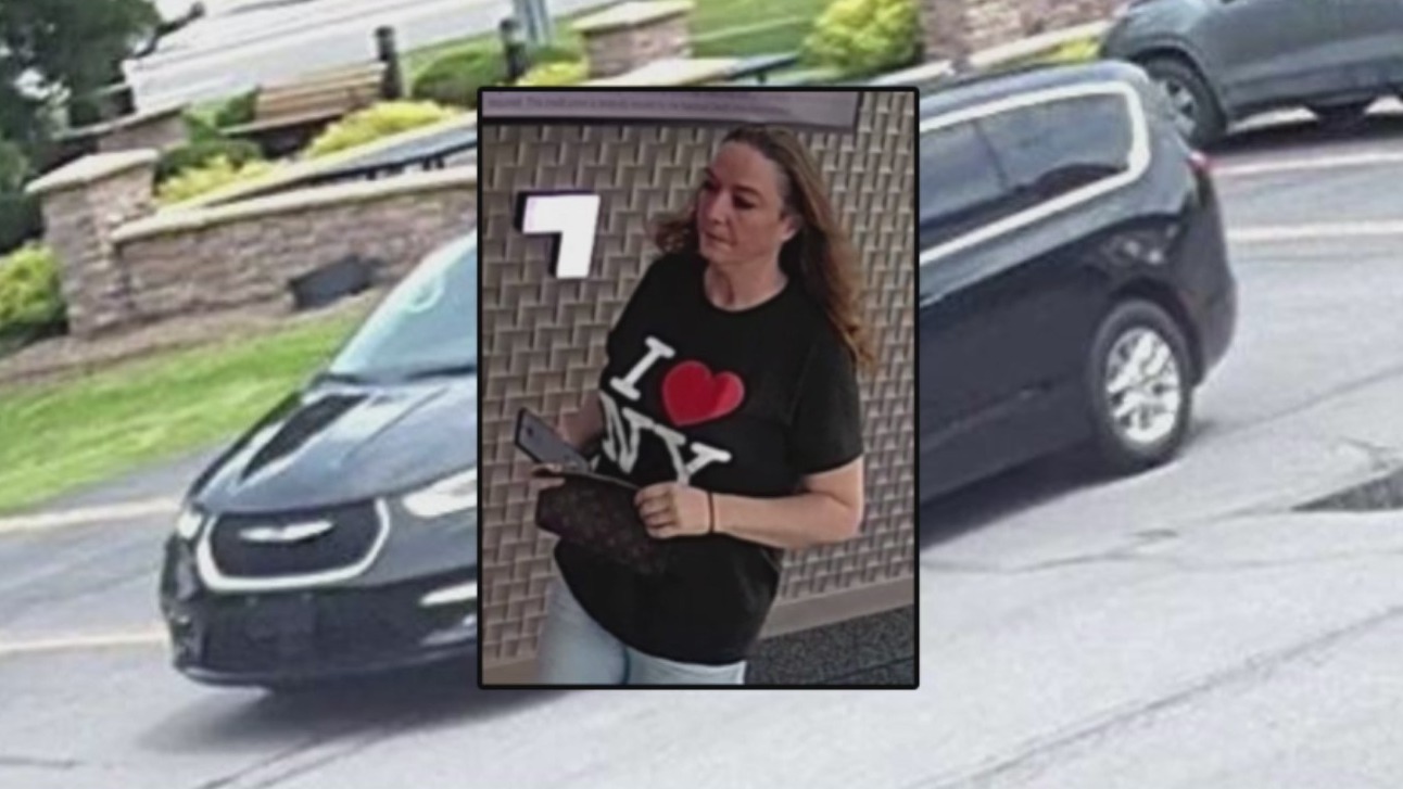 NYSP searching for suspect who tried to cash $3500 fraudulent check ...
