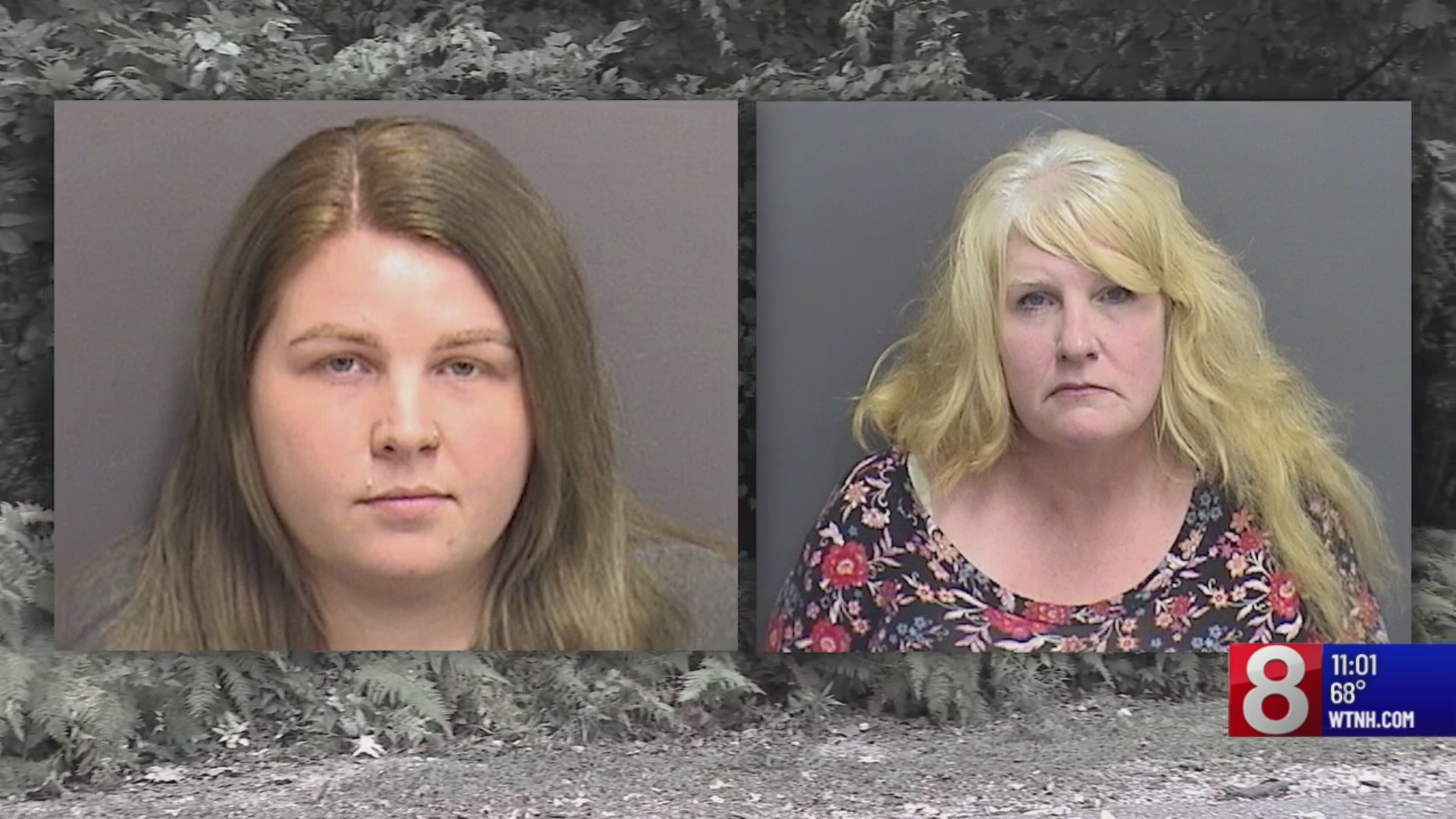 Coventry women charged with over 100 counts of animal cruelty – WTNH.com