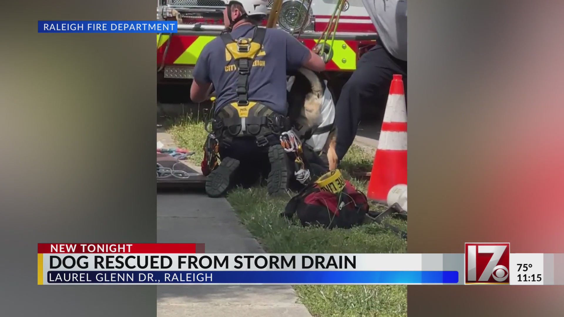 Raleigh crews rescue dog from storm drain – CBS17.com