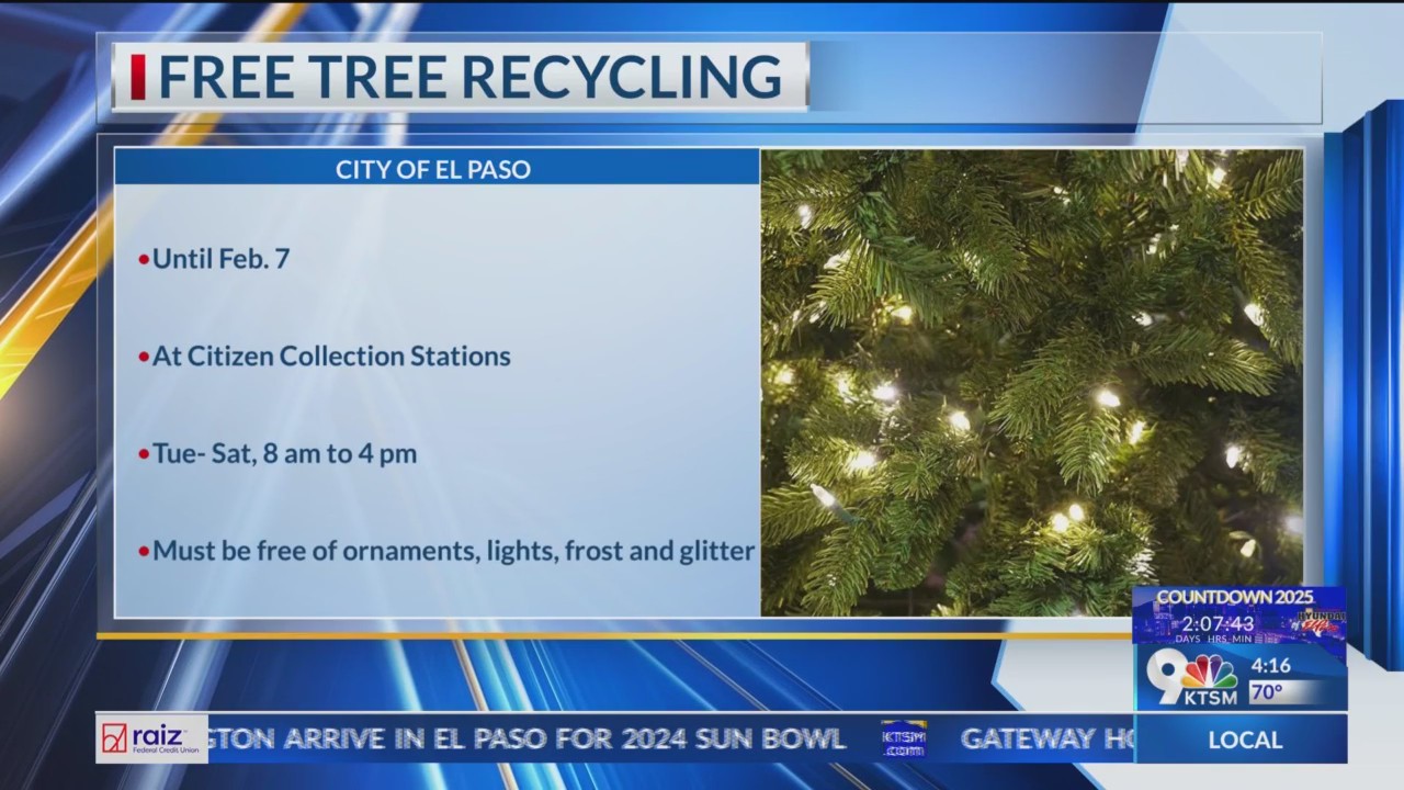 City of El Paso offering free recycling of live holiday trees – KTSM 9 News