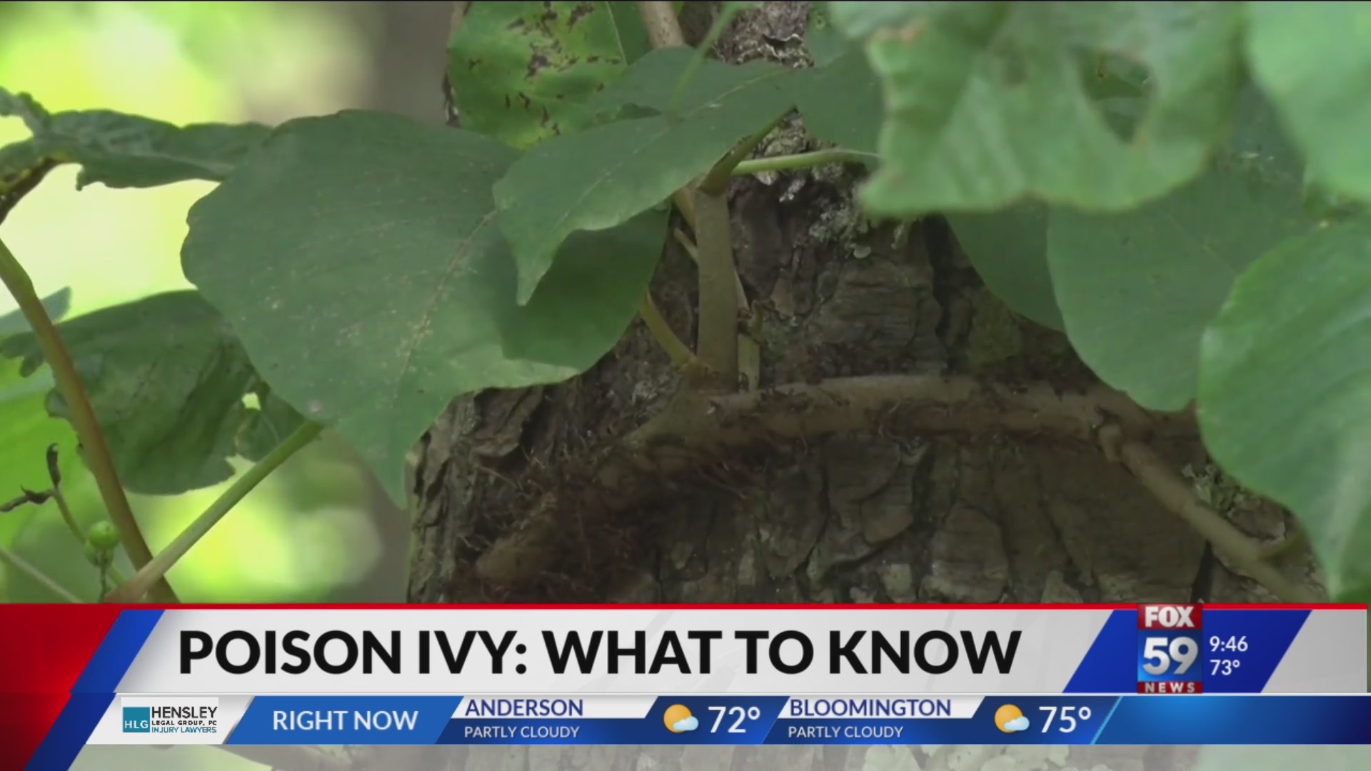 Local Poison Poison Ivy: Local Pediatrician on what to know and how to treat It – Fox 59