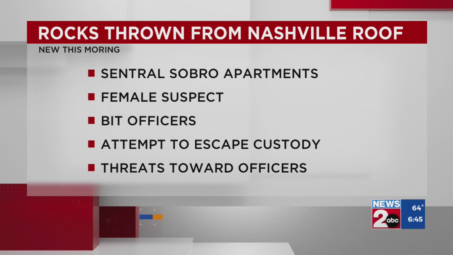 Woman charged with throwing rocks from Nashville roof – WKRN News 2