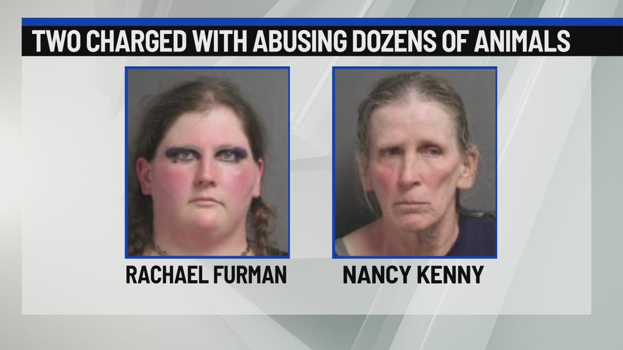Wilton duo charged with 37 counts of animal cruelty – NEWS10 ABC