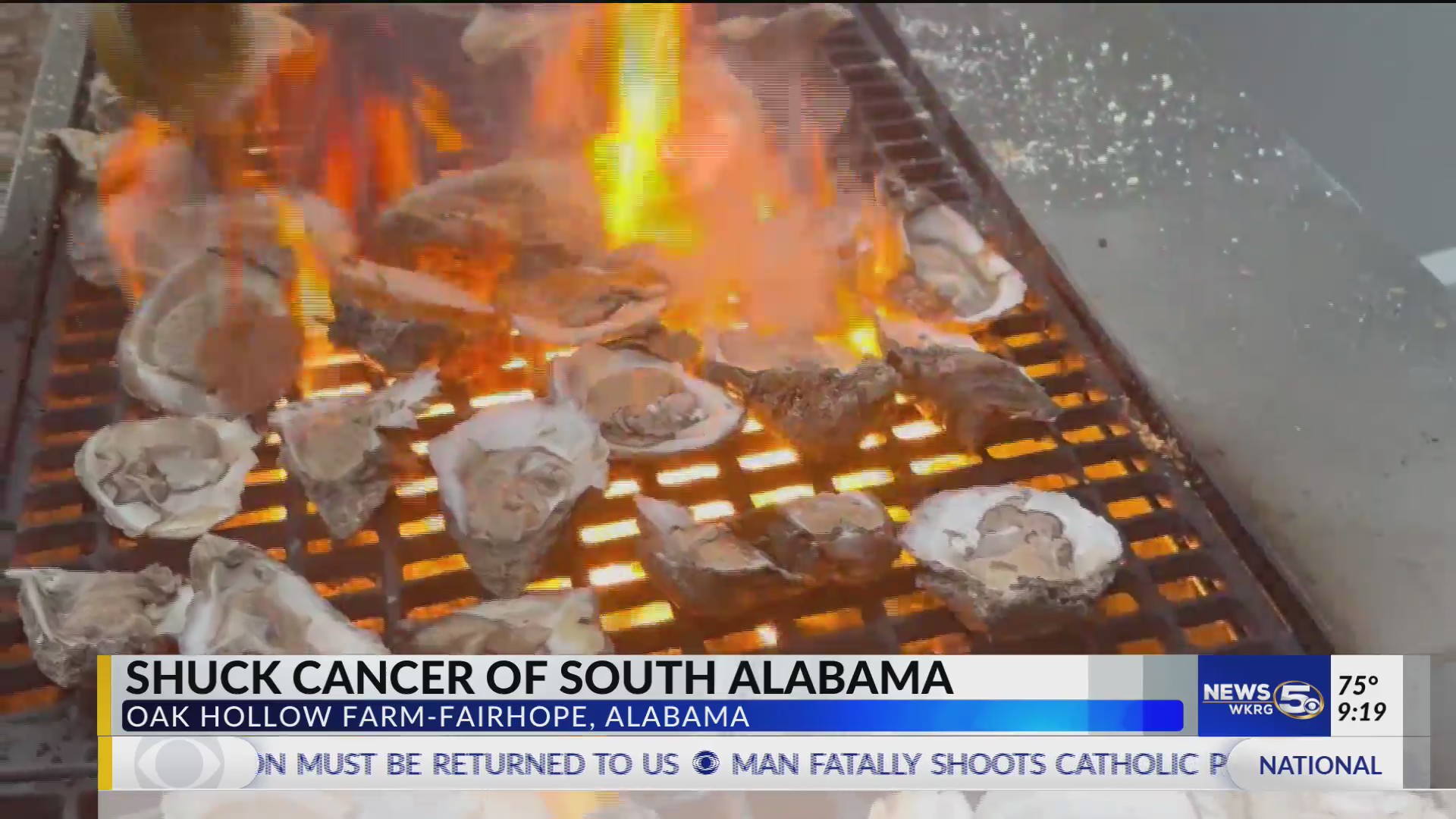 Shuck Cancer of South Alabama raises money for local cancer patients ...