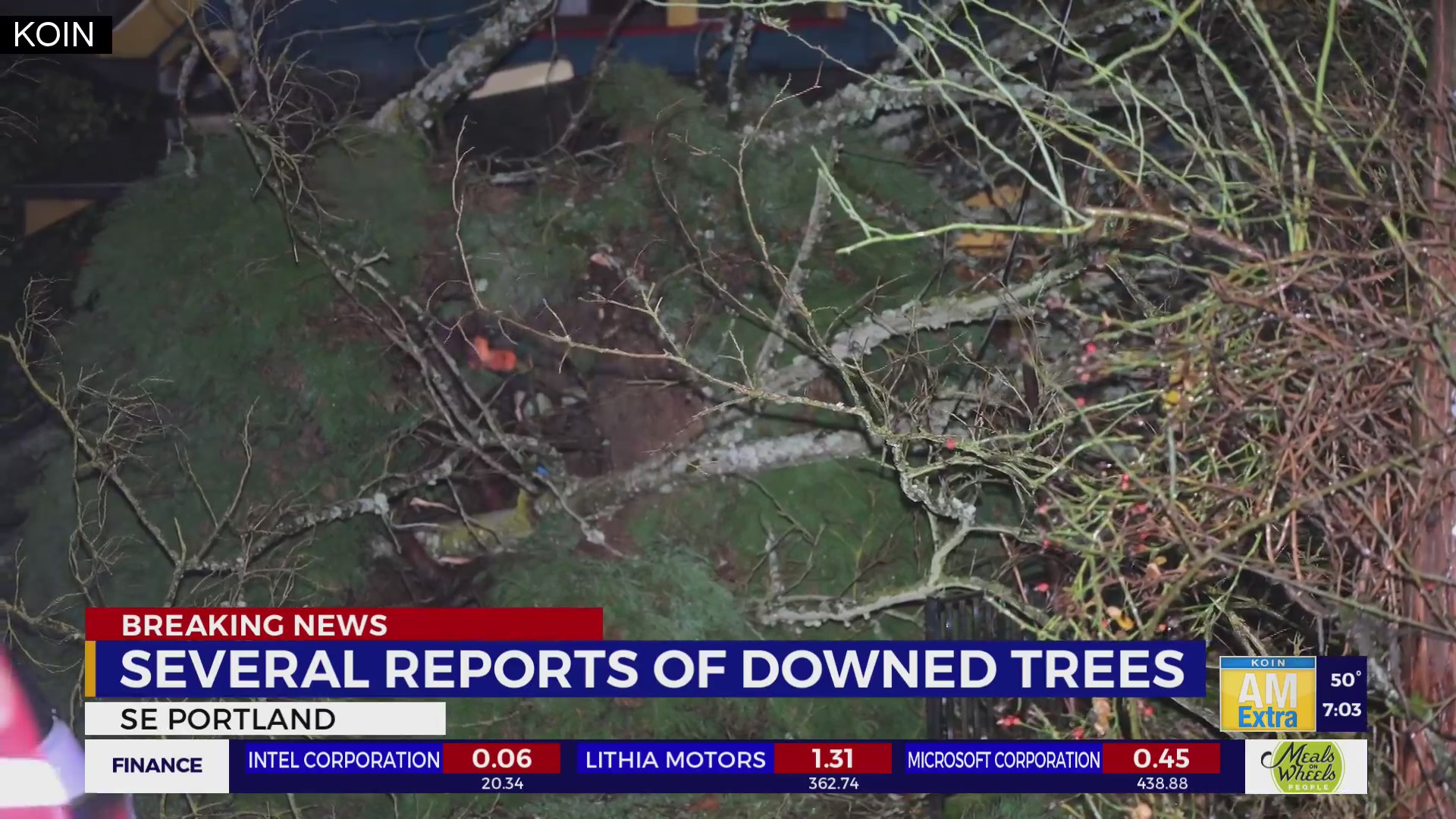 Downed trees, power outages plague Portland metro – KOIN.com