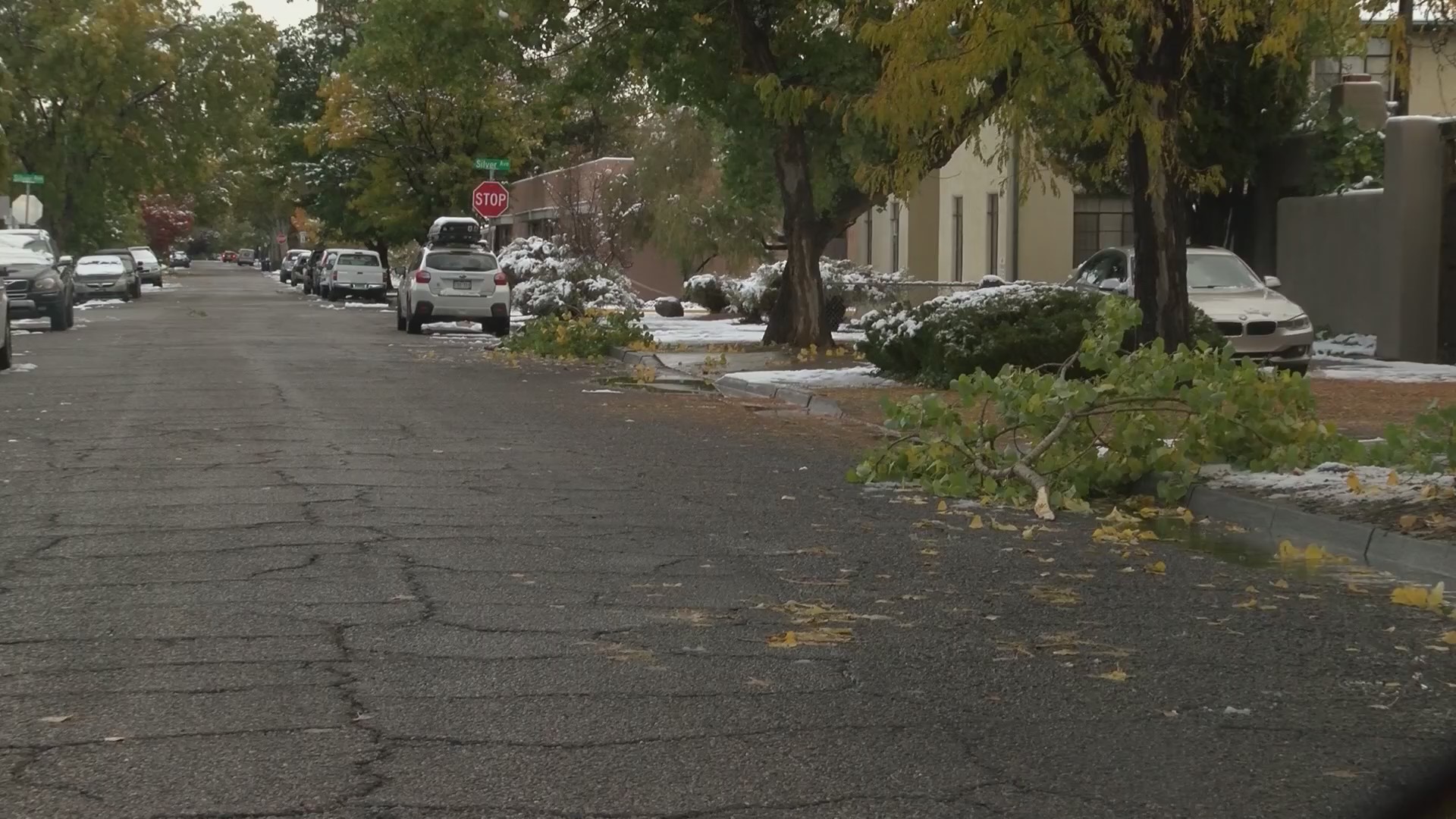 Winter storm causes power outages, downed trees in Albuquerque – KRQE ...