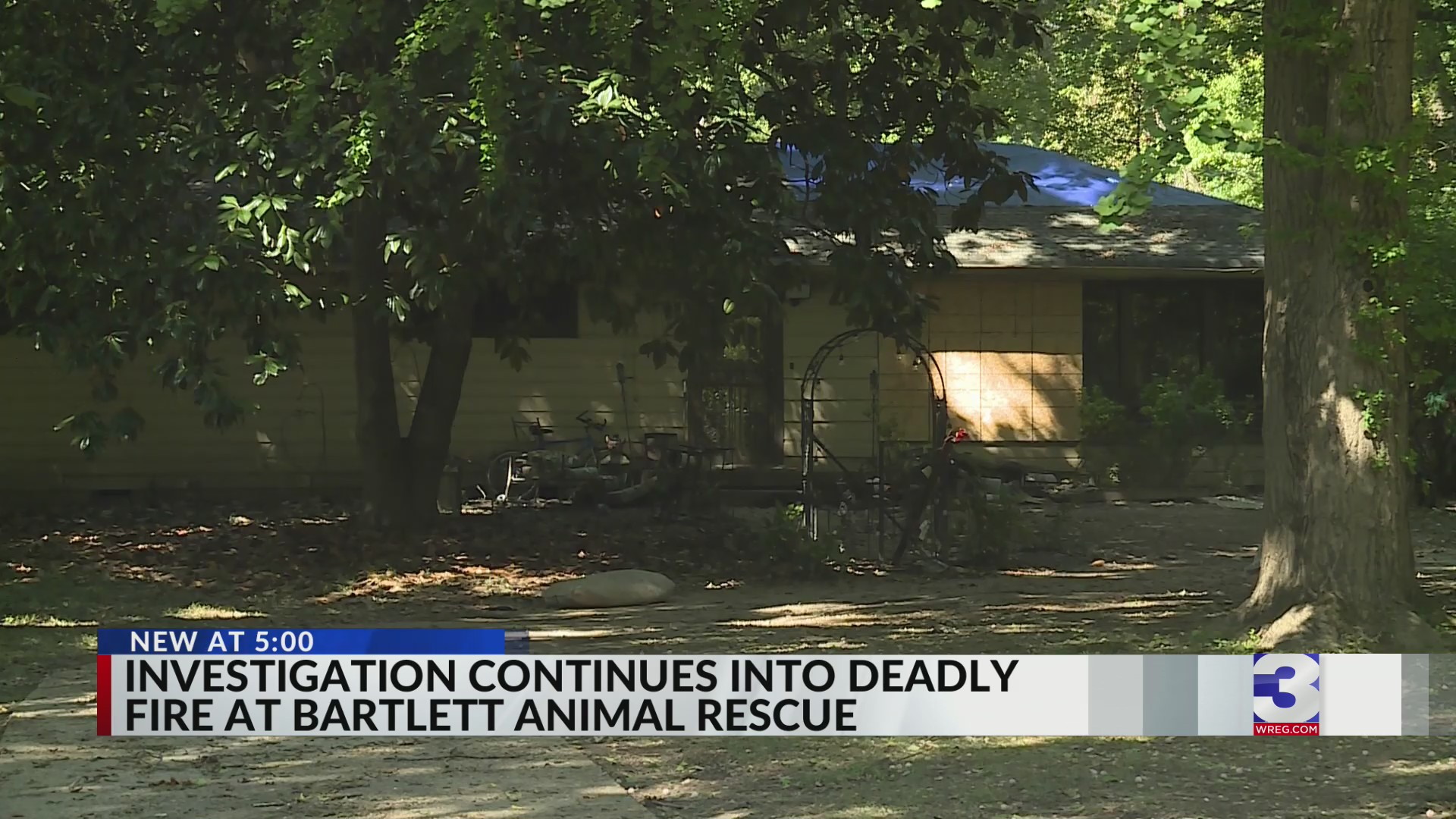 Investigation into deadly fire at Bartlett animal rescue continues ...