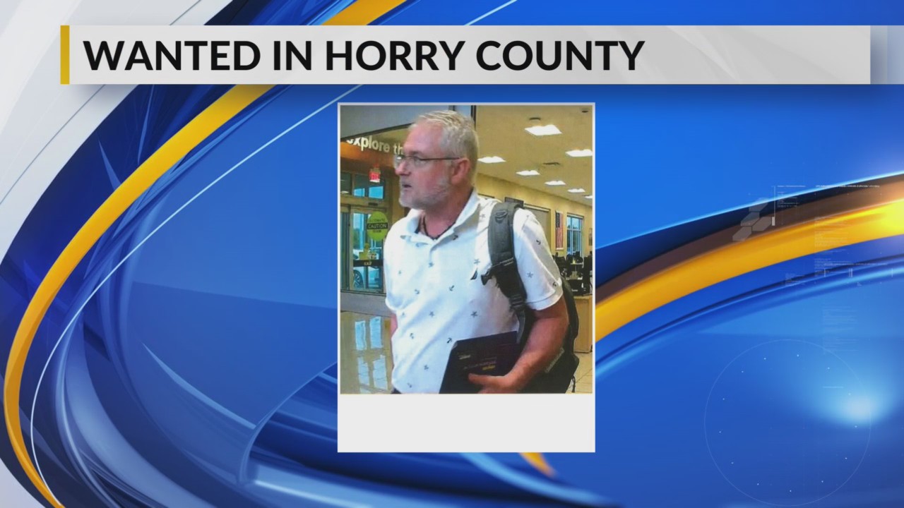 Horry County police look for man who bought car illegally using another ...