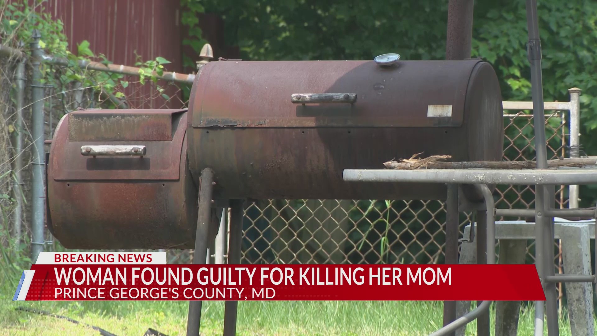 Woman found guilty for murdering, dismembering, grilling her own mother ...