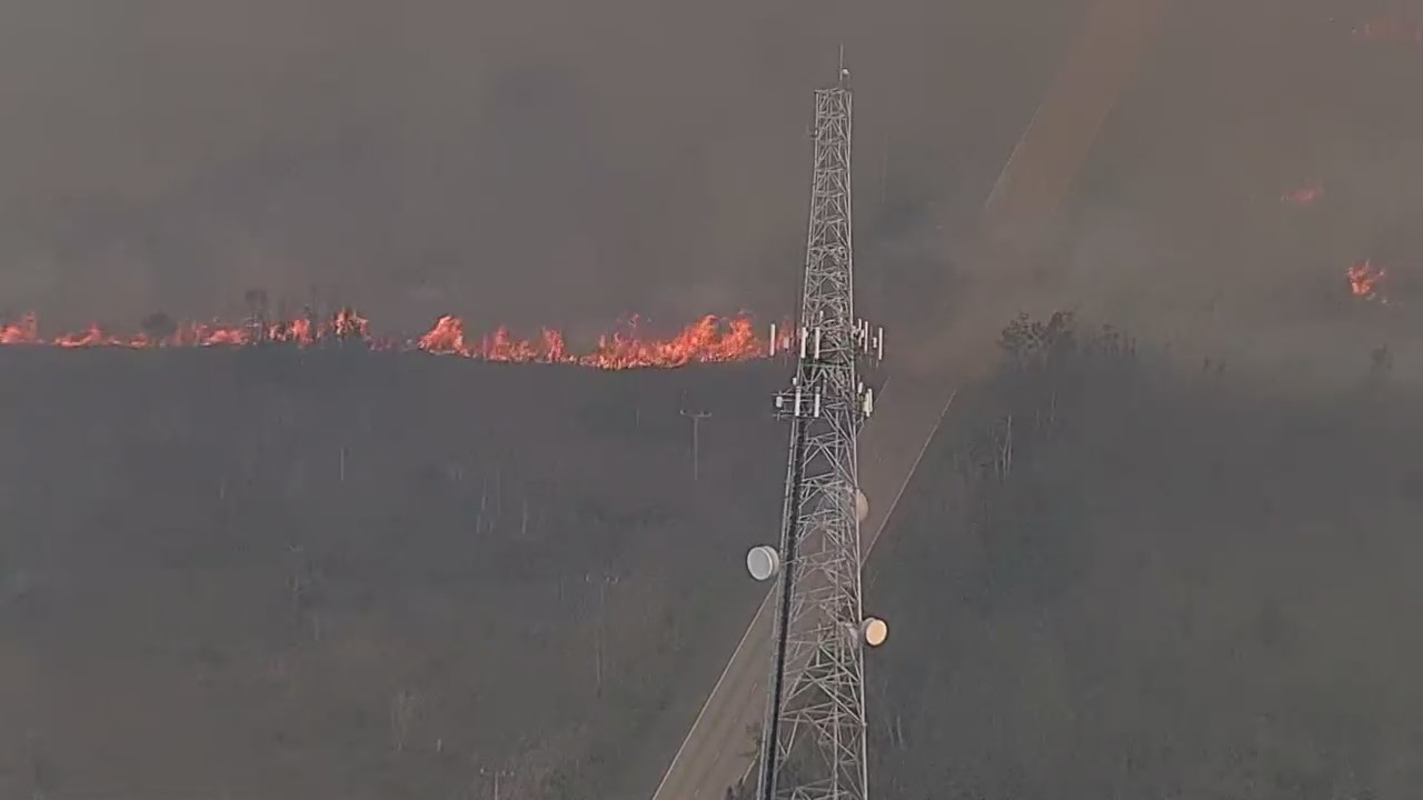 Brush fire in South Florida – WFLA