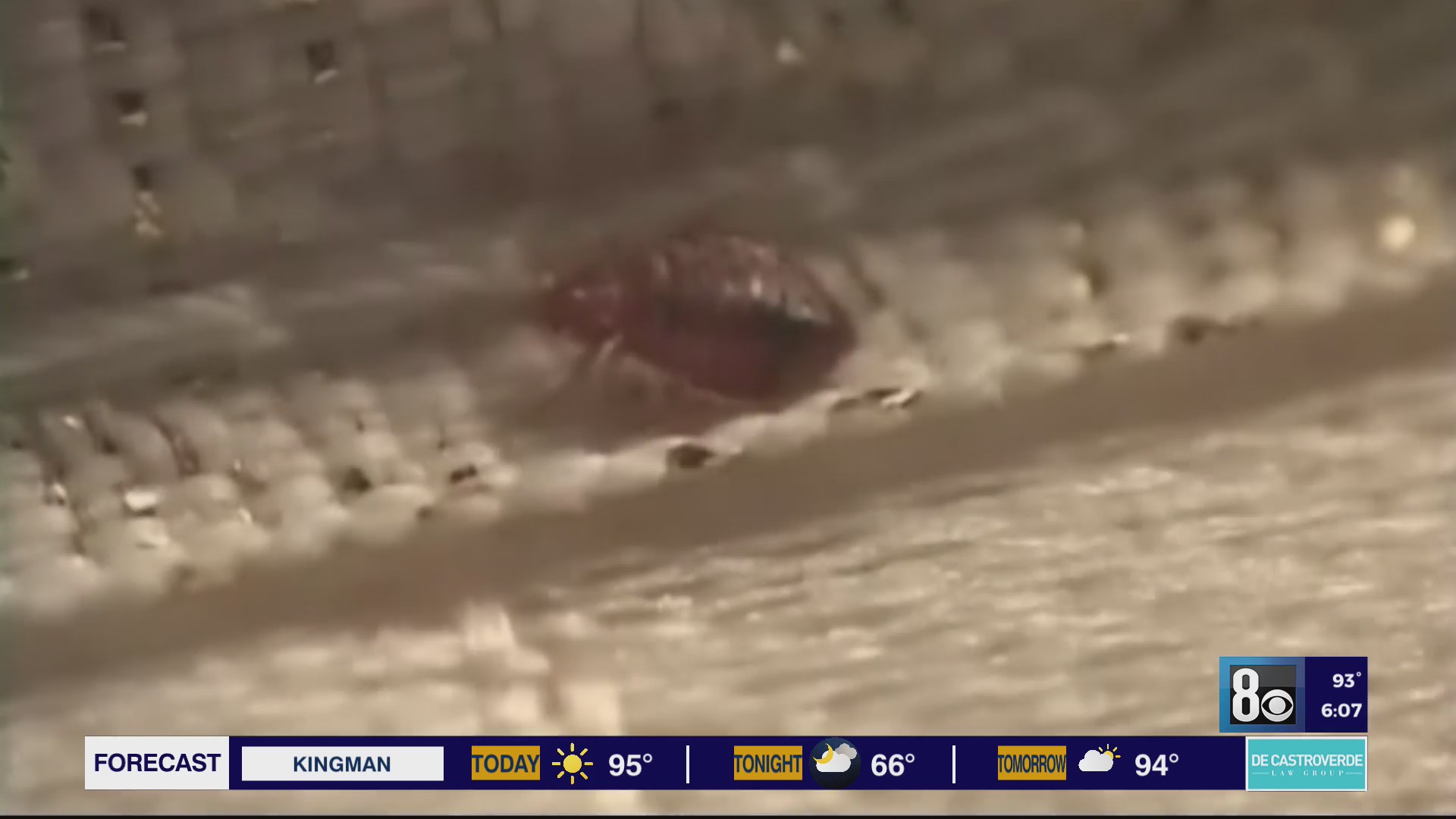 Las Vegas hotel bed bugs leave tourist with ‘permanent scarring