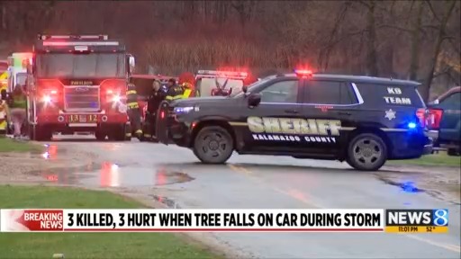 3 killed, 3 hurt when tree falls on car during storm – WKRG News 5