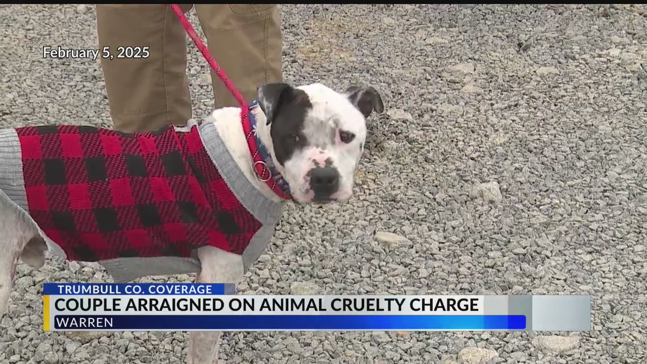 Not-guilty plea entered in animal cruelty case – WKBN.com