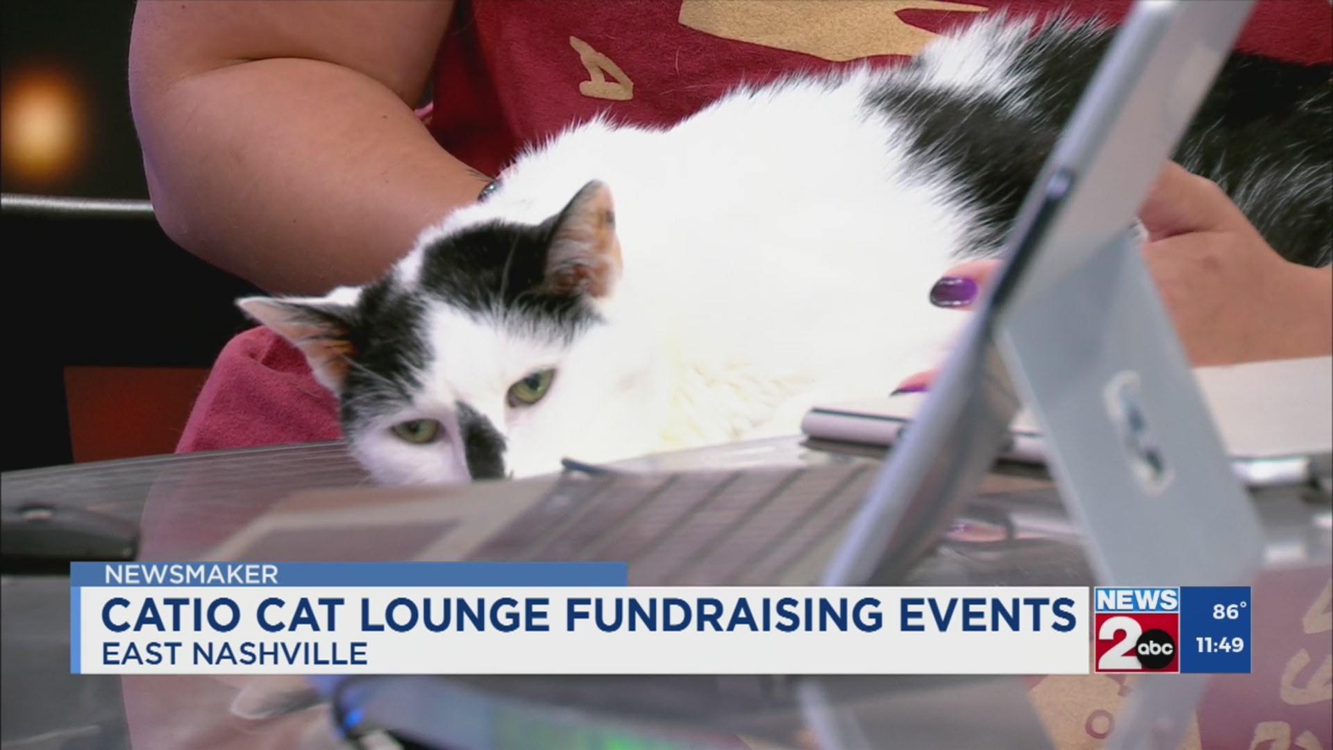 Newsmaker: Nashville’s The Catio Lounge – WKRN News 2