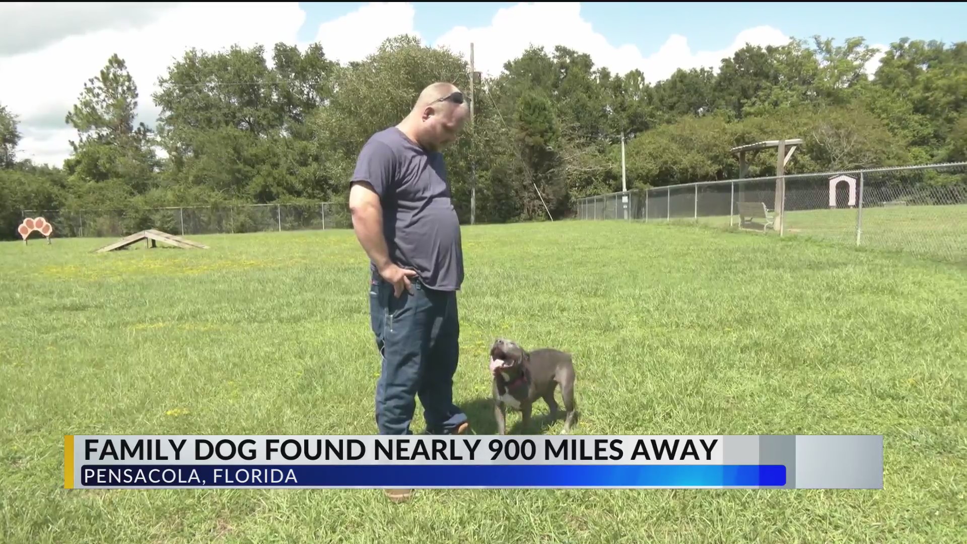 From Pensacola to Oklahoma How one family reunited with their missing dog of 2 years WKRG News 5