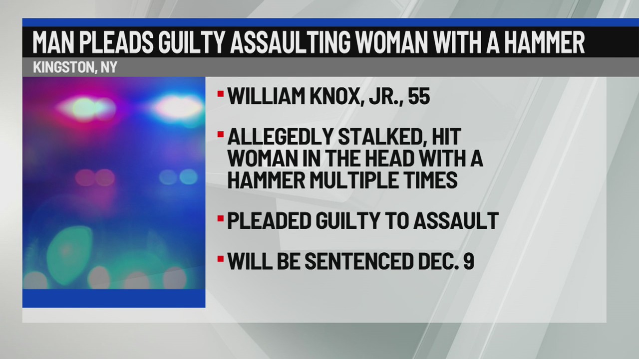 Kingston man pleads guilty to assault before jury trial – NEWS10 ABC