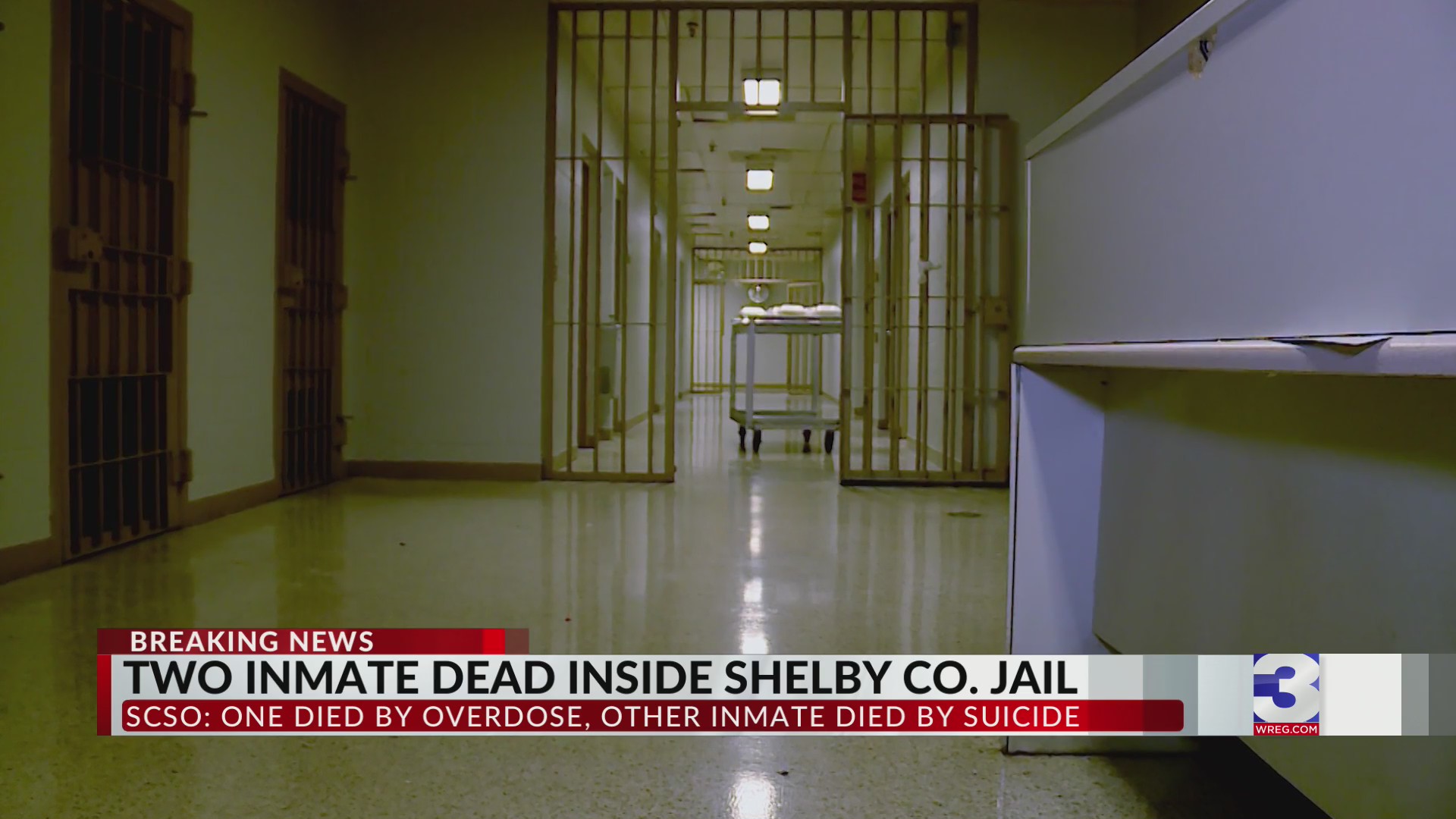 Two inmates dead inside Shelby County Jail – WREG.com