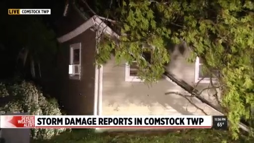 Strong storm topples trees, causes power outages in West Michigan ...