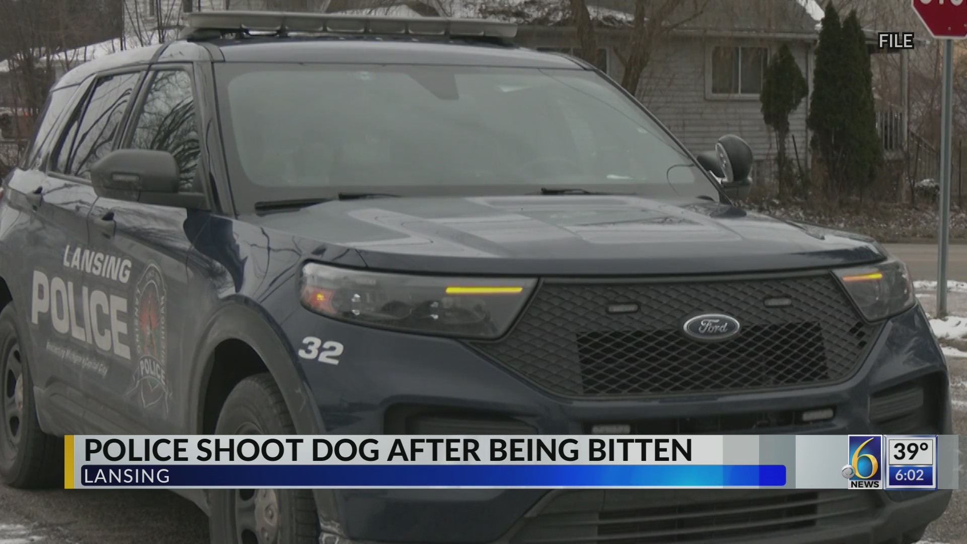 Police shoot dog after being bitten – WLNS 6 News