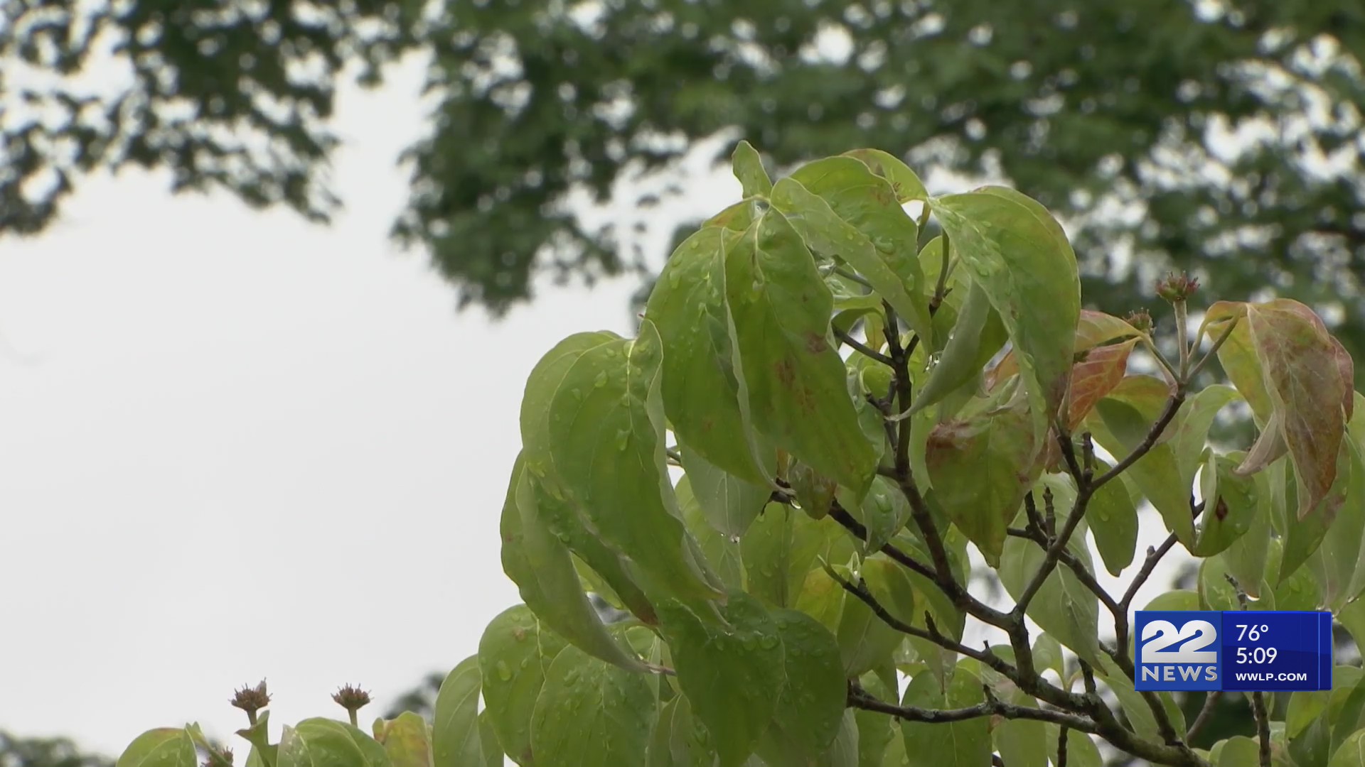 Dry weather stretch comes to an end as forecast calls for rain into ...