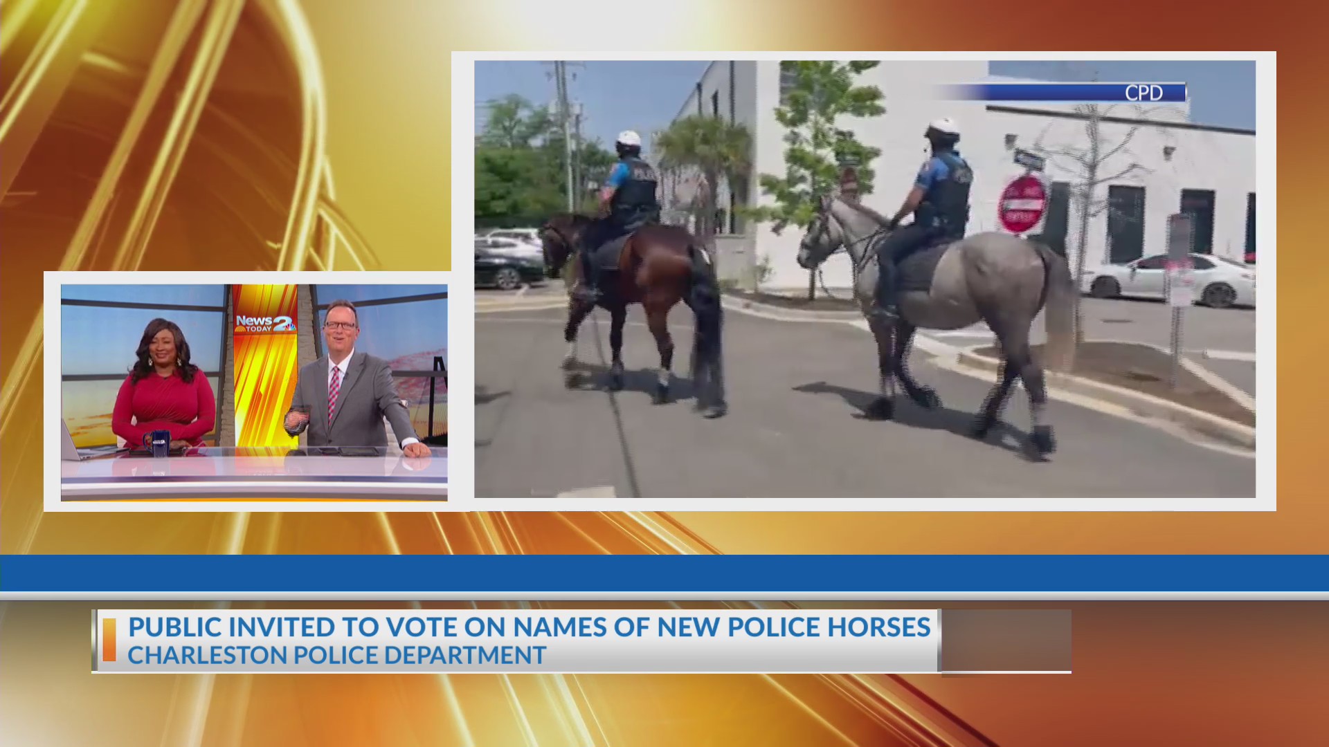 You can help Charleston PD name new police horses – WCBD News 2