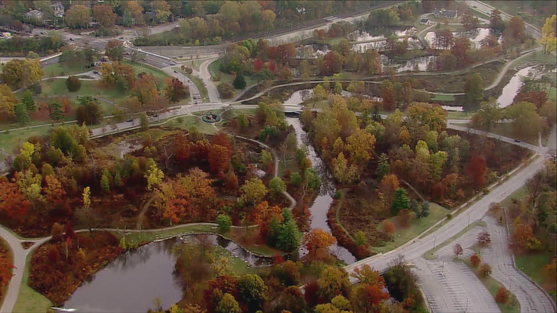 Fall foliage season dampened by recent weather trends – FOX 2