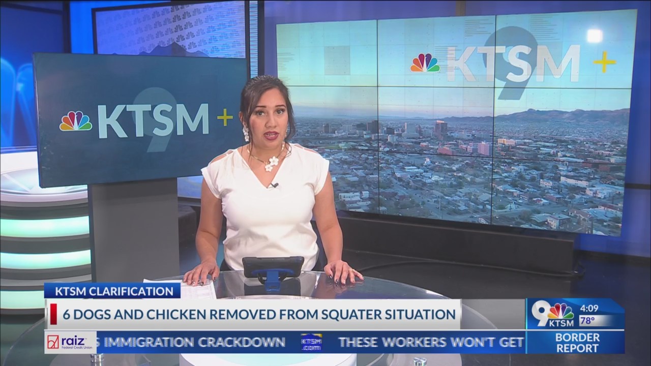 6 dogs and chicken removed from El Paso squatter home – KTSM 9 News
