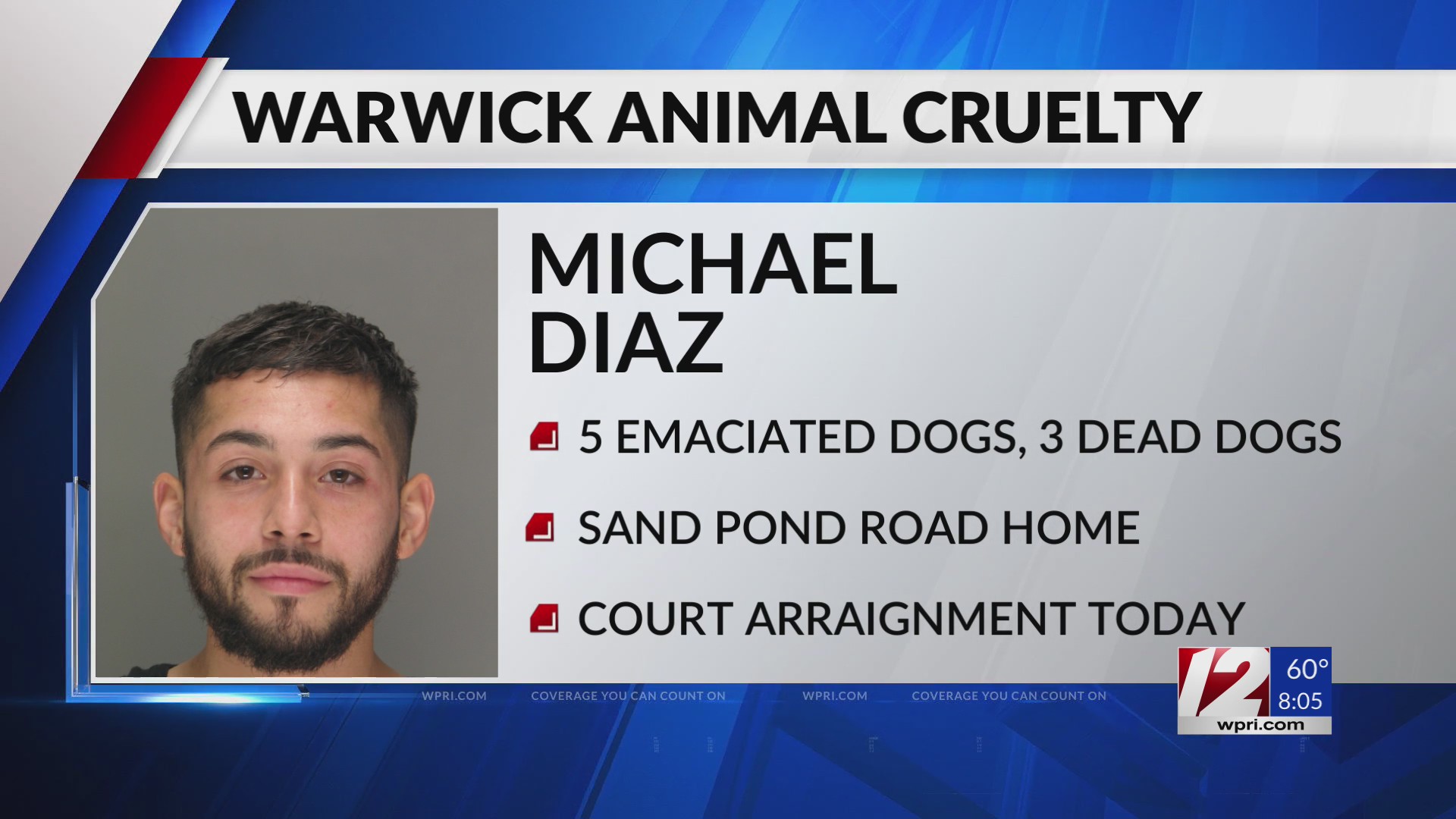 Warwick man facing animal cruelty charges after dead, emaciated dogs ...